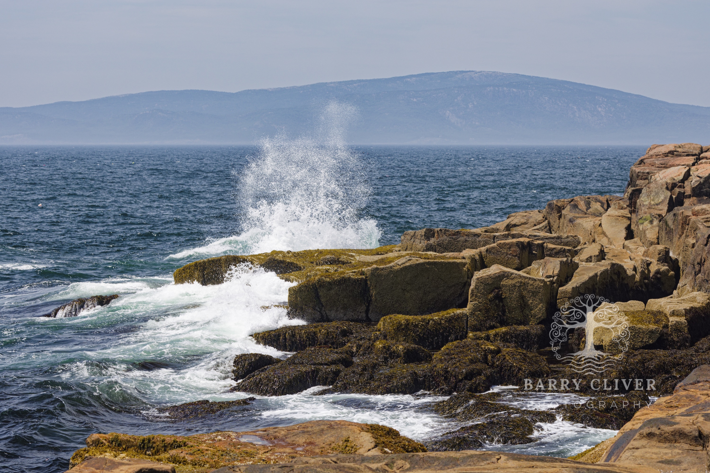 Schoodic Point