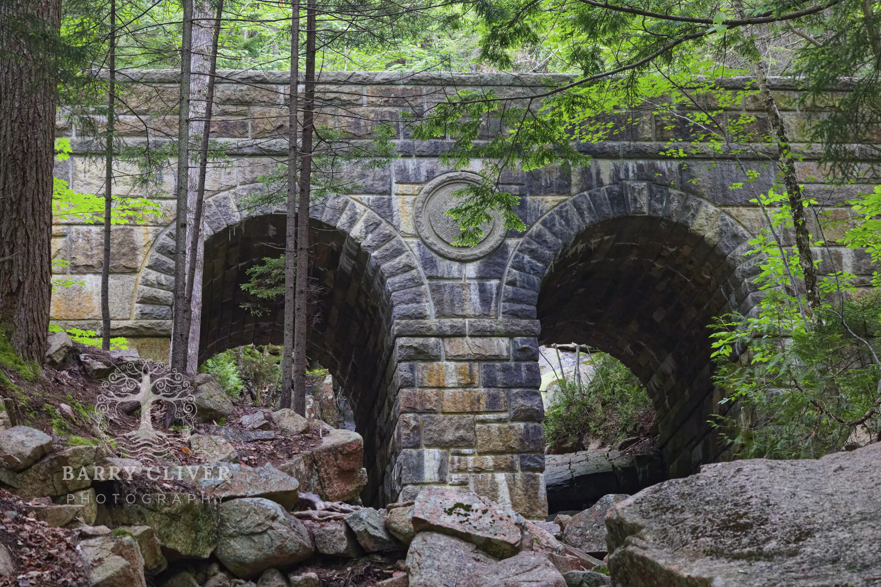 Deer Brook Bridge