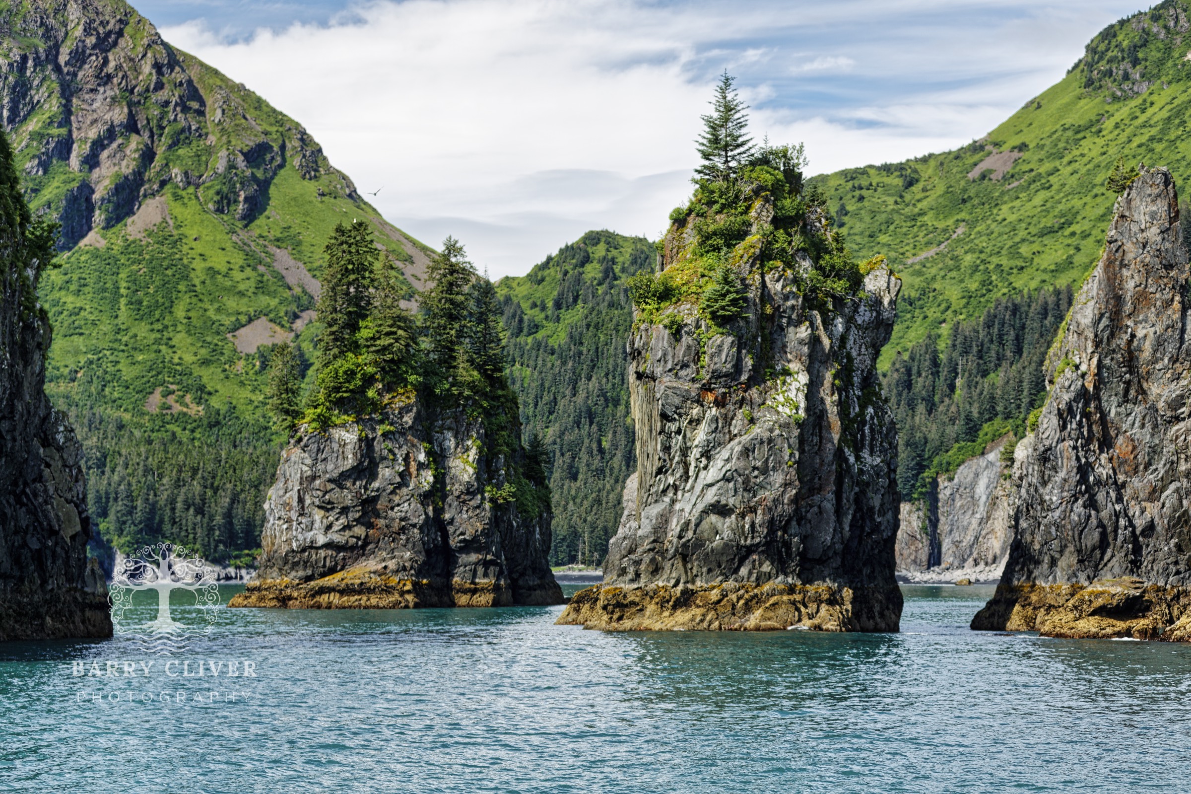 Kenai Fjords
