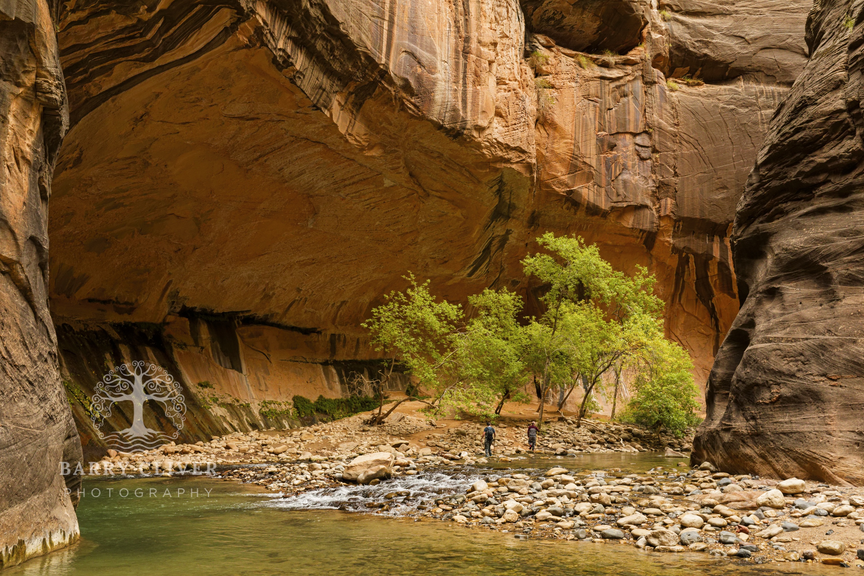 Zion Narrows