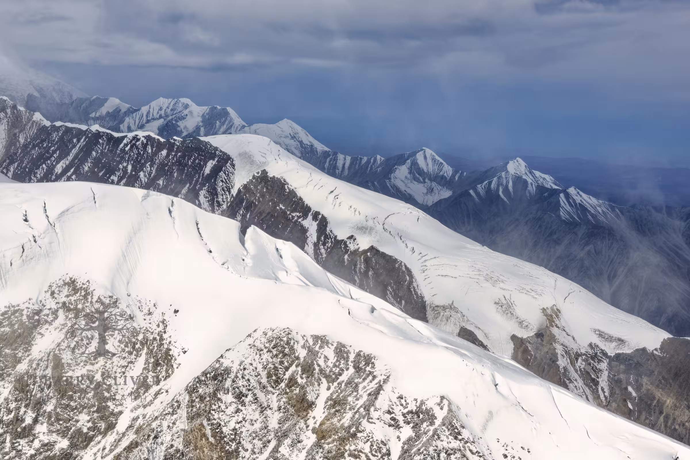 Denali National Park
